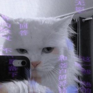 Meet your Posher, Alexia